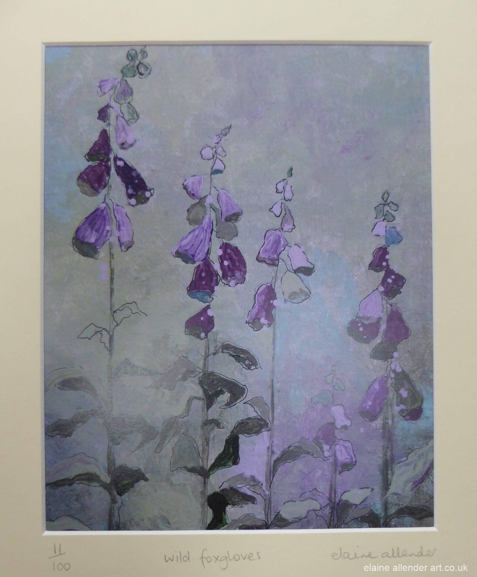 Wild Foxgloves